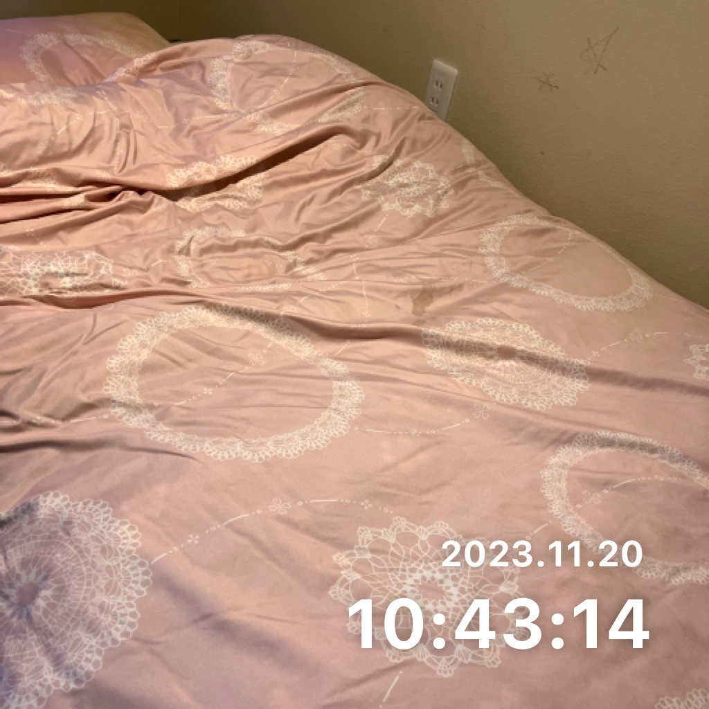 ベッド・布団を整理のサムネイル画像